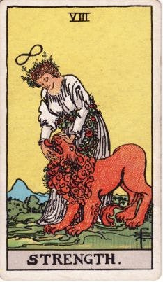 Tarot Card: Strength