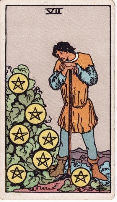 Tarot Card: Seven of Pentacles