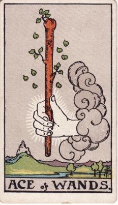 Tarot Card: Ace of Wands