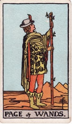 Tarot Card: Page of Wands